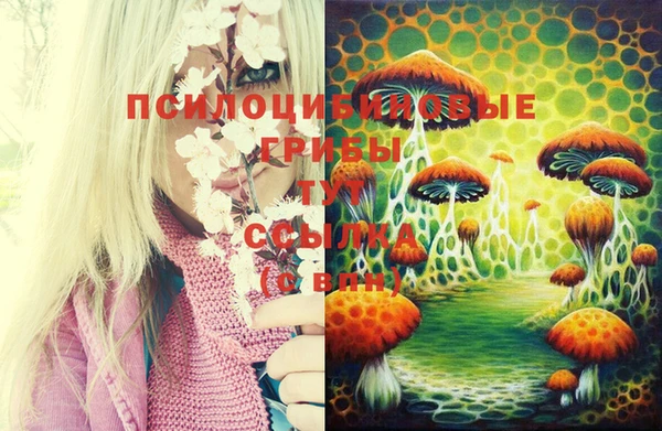 марки lsd Абинск