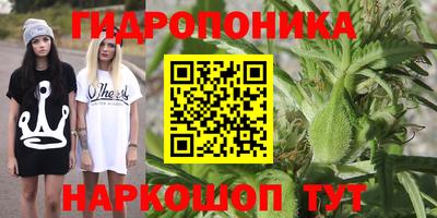 эйфоретик Мариинск