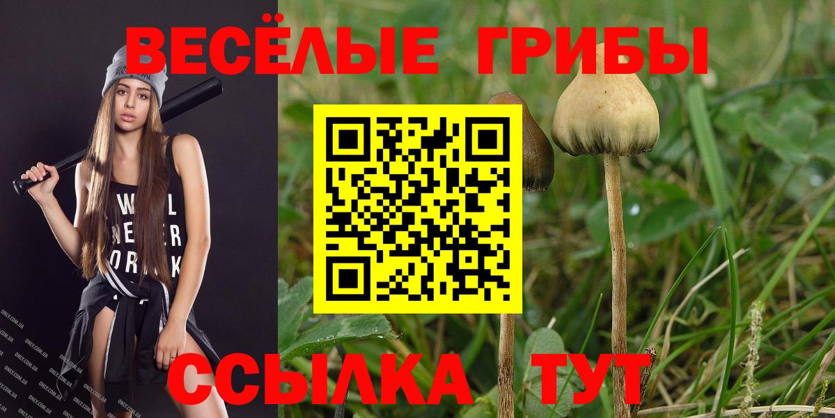 Псилоцибиновые грибы мицелий  Галлюциногенные грибы MAGIC MUSHROOMS  Шадринск  Вход с VPN 